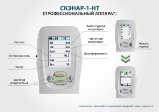 СКЭНАР-1-НТ (исполнение 01)  в Рузе купить Медицинский интернет магазин - denaskardio.ru 